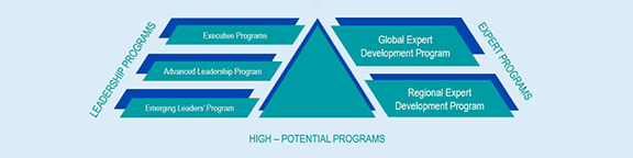 <p>Excou/ve Programo</p> <p>Global Expernt</p> <p>LEADERSHIP PROGRAMS</p> <p>EXPERT PROGRAMS<br/>Deveiopment Program</p> <p>Avanoed Leadership Program</p> <p>Regional Exoert</p> <p>Emerging Leaderi\' Program</p> <p>Development Program</p> <p>HIGH-POTENTIAL PROGRAMS</p>